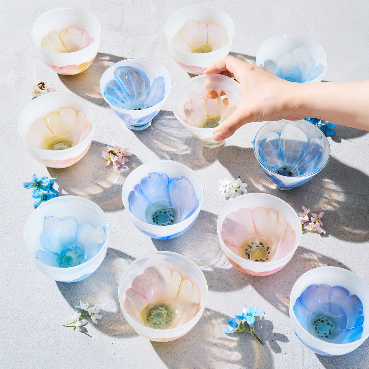 早崎志保ガラス展 – TSUCHI-YA │ ガラスの器と工芸