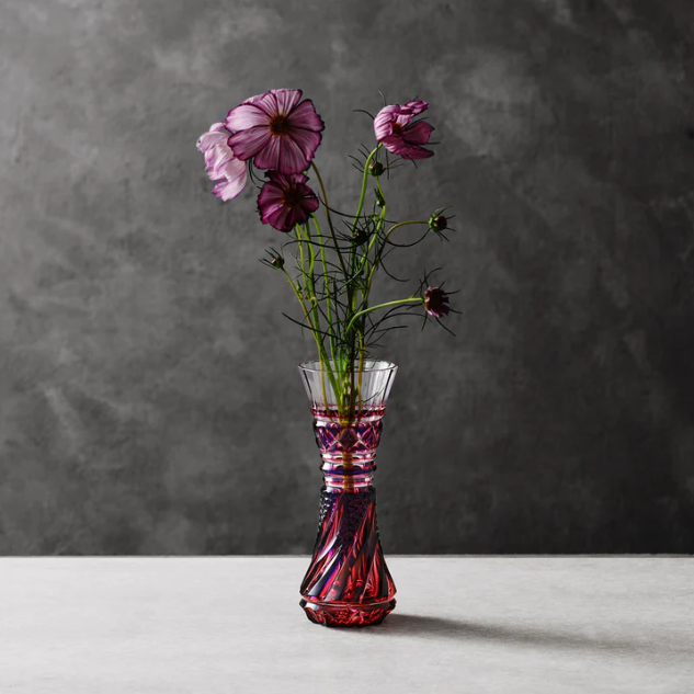 Satsuma Kiriko/Pair of wine glasses