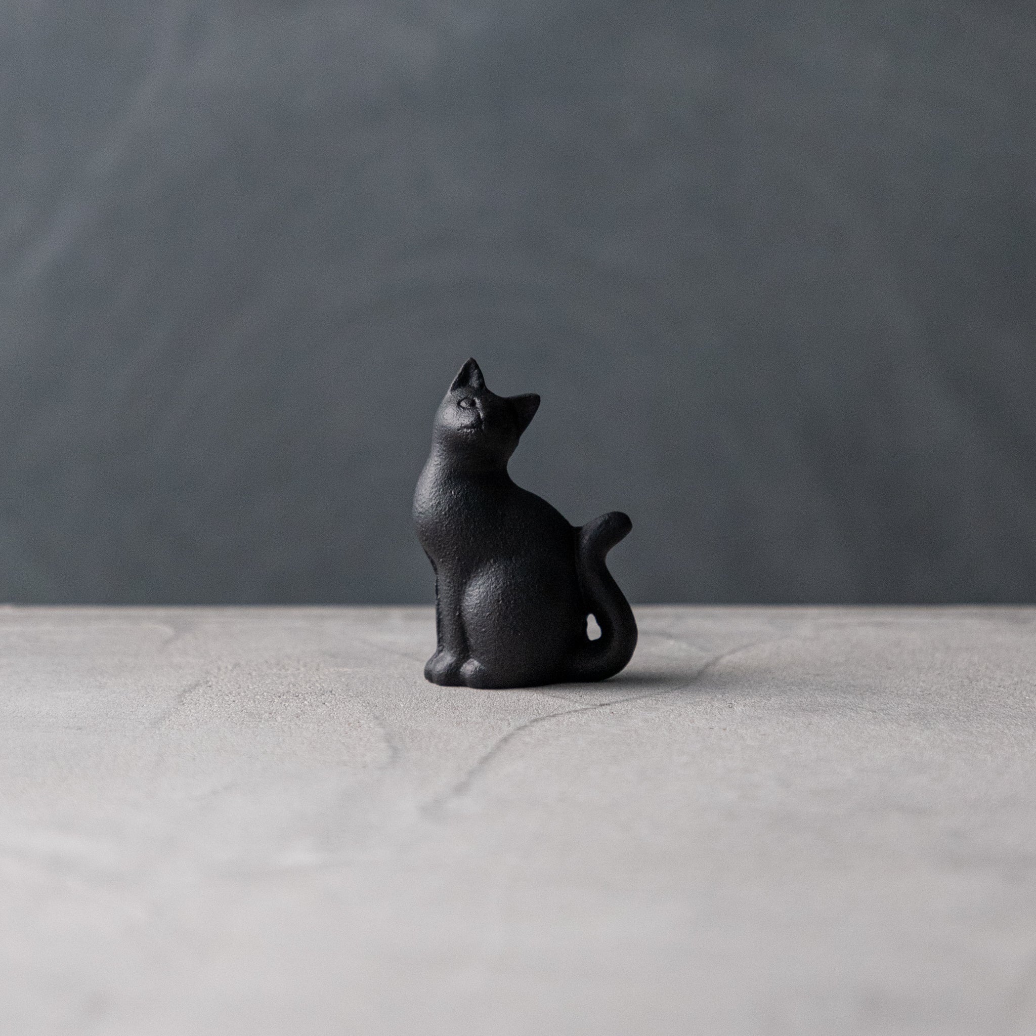 ガラス専門店｜南部鉄器｜岩鋳｜ペーパーウェイト 尾長ネコ – TSUCHI